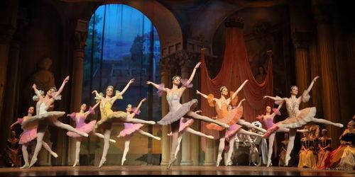 胡桃夹子时装爆料视频,揭秘时尚界的奇幻之旅