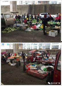 半山小镇爆料最新消息是真的吗,最新消息真实性揭秘 第2张 半山小镇爆料最新消息是真的吗,最新消息真实性揭秘 第2张