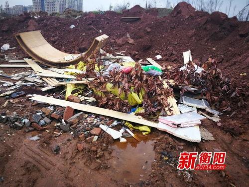 衡阳新闻爆料,突发事件引发关注,最新进展情况揭晓 第1张 衡阳新闻爆料,突发事件引发关注,最新进展情况揭晓 第1张