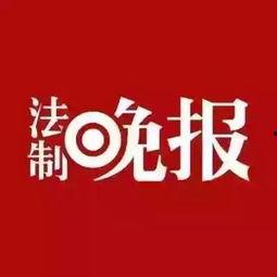 广西法治新闻爆料网查询,聚焦法治热点，守护公平正义  第3张